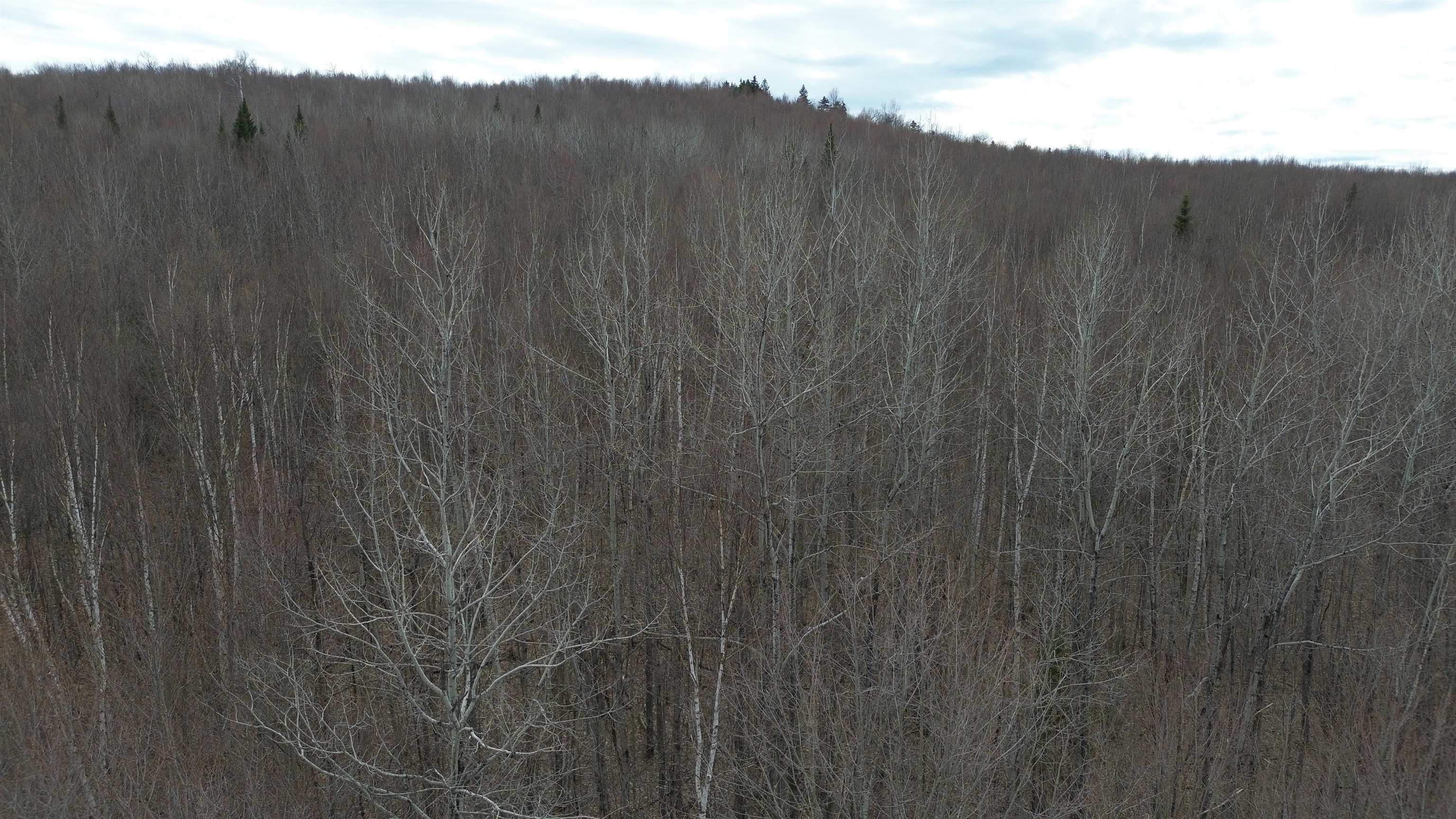 0 Leclair Road Concord, VT 05824 - Photo 16 of 30