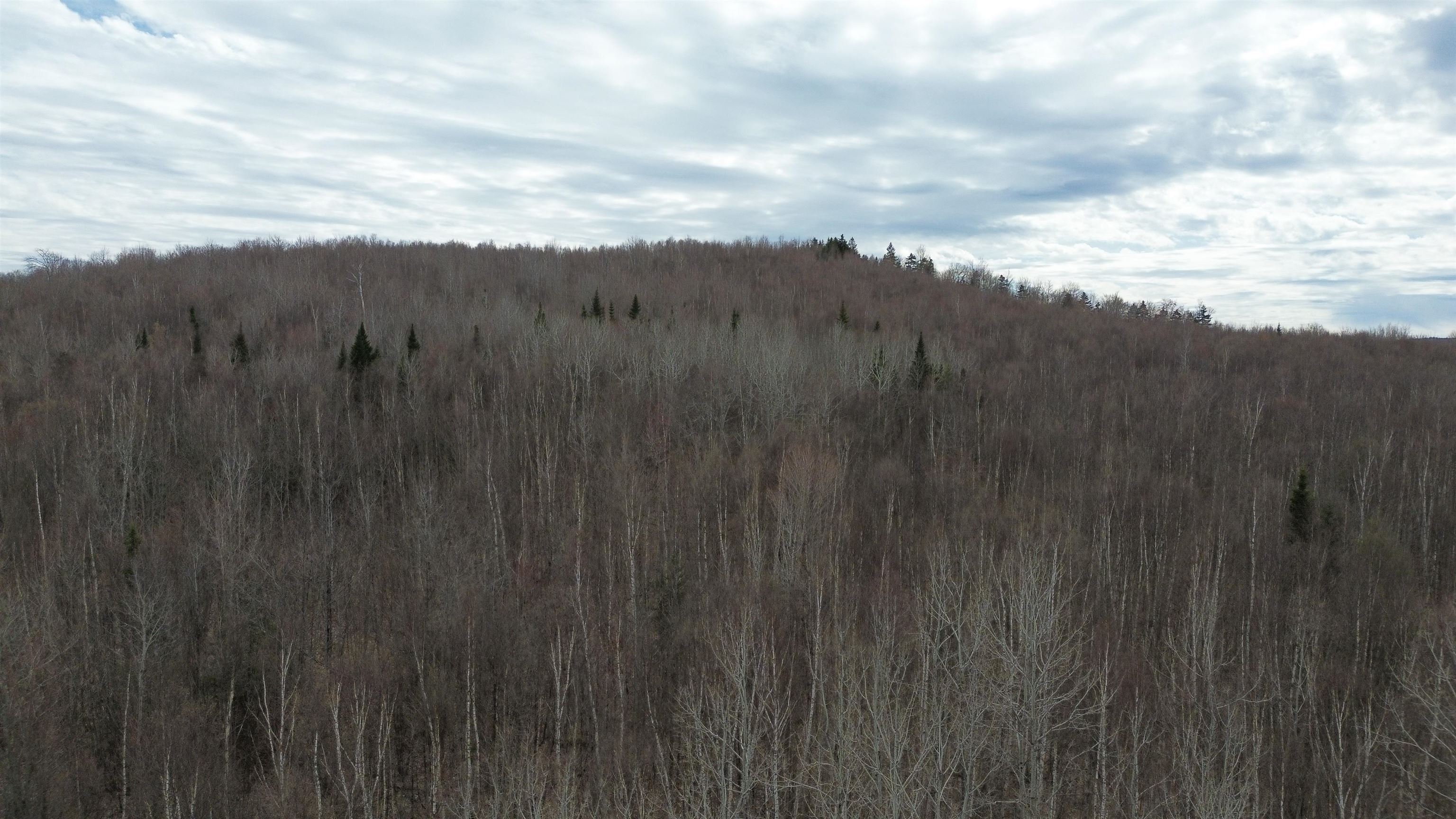 0 Leclair Road Concord, VT 05824 - Photo 17 of 30