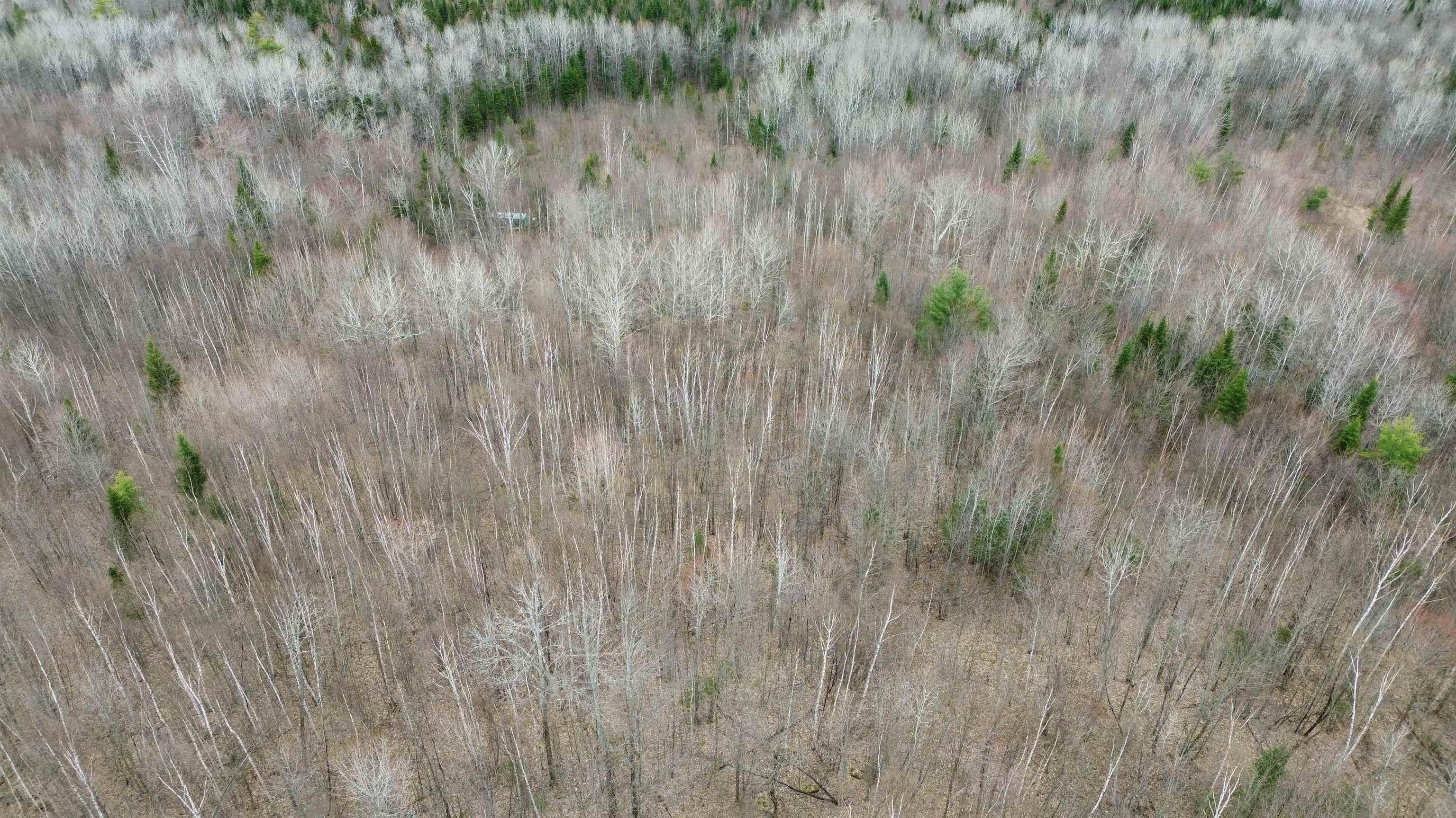 0 Leclair Road Concord, VT 05824 - Photo 19 of 30