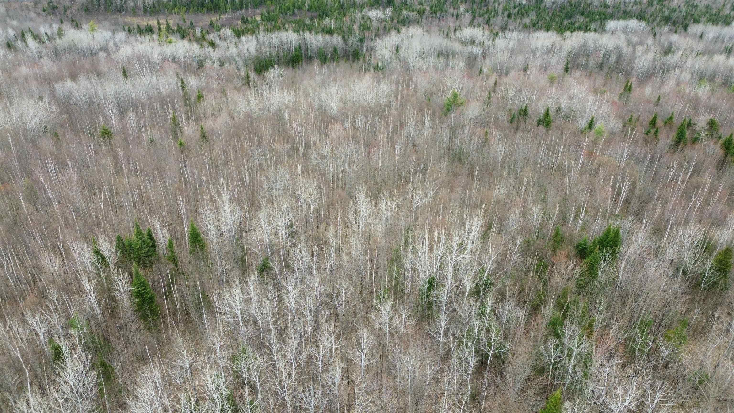 0 Leclair Road Concord, VT 05824 - Photo 20 of 30