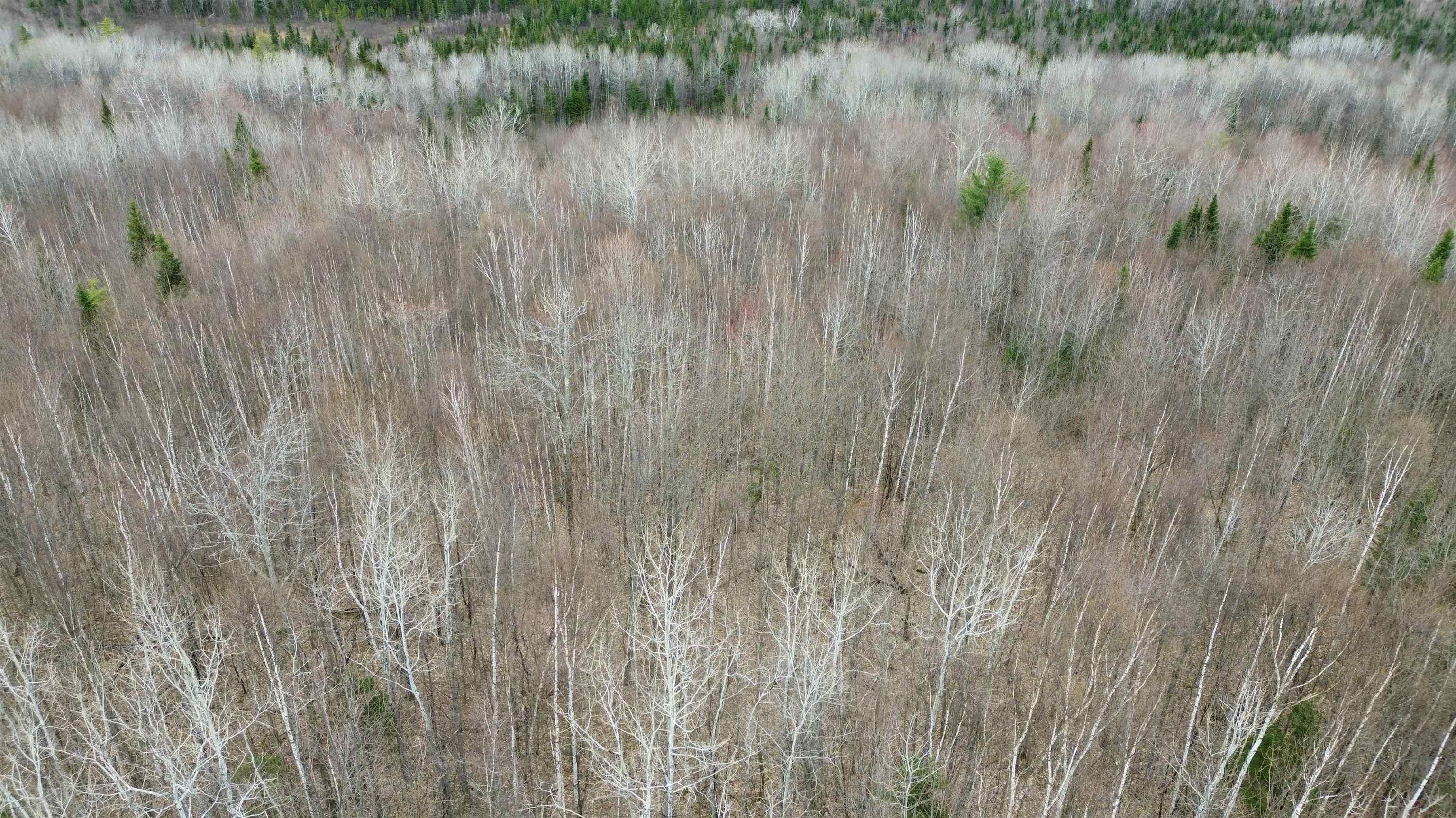 0 Leclair Road Concord, VT 05824 - Photo 21 of 30