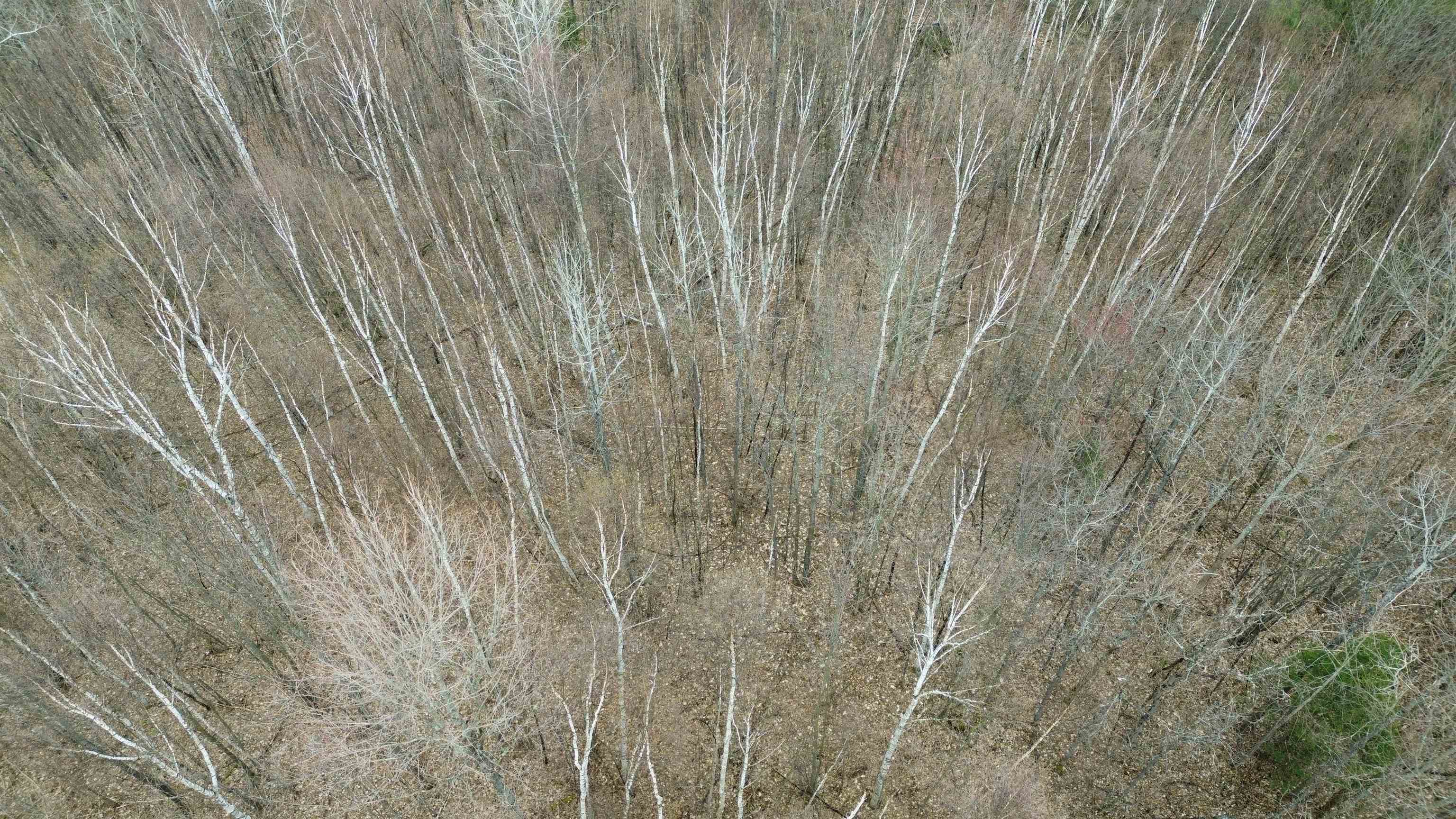 0 Leclair Road Concord, VT 05824 - Photo 22 of 30