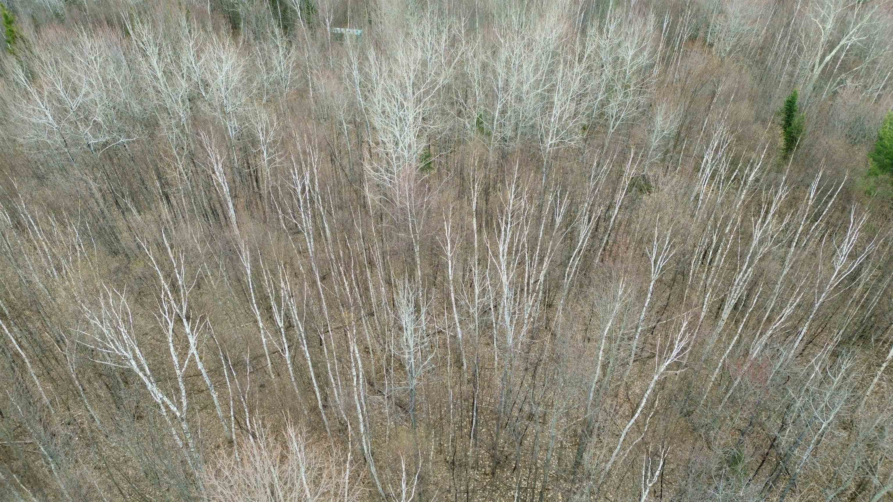 0 Leclair Road Concord, VT 05824 - Photo 23 of 30