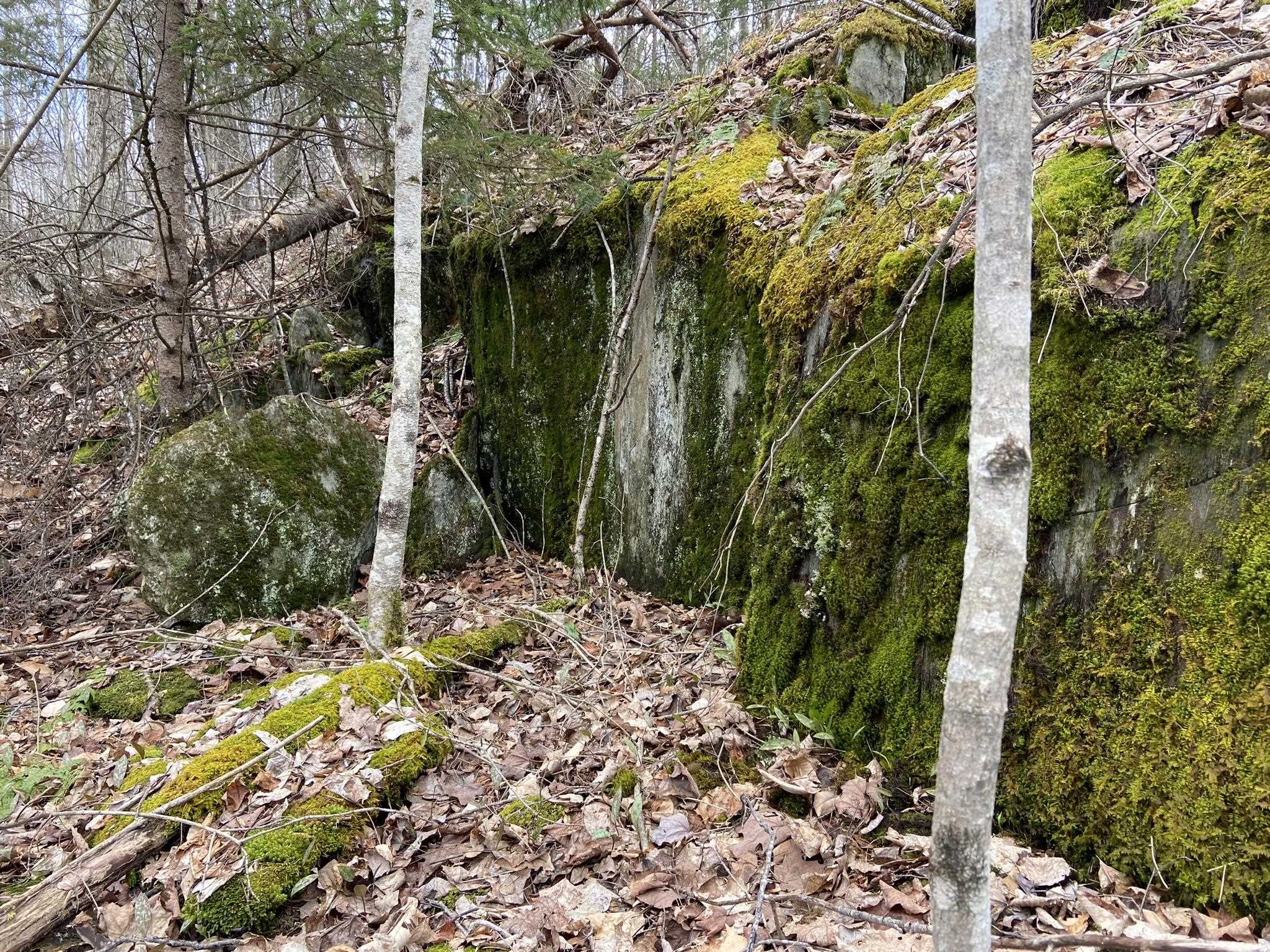 0 Leclair Road Concord, VT 05824 - Photo 25 of 30