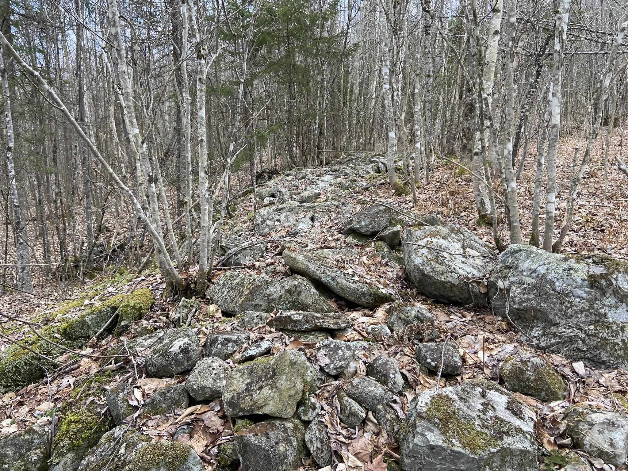 0 Leclair Road Concord, VT 05824 - Photo 27 of 30