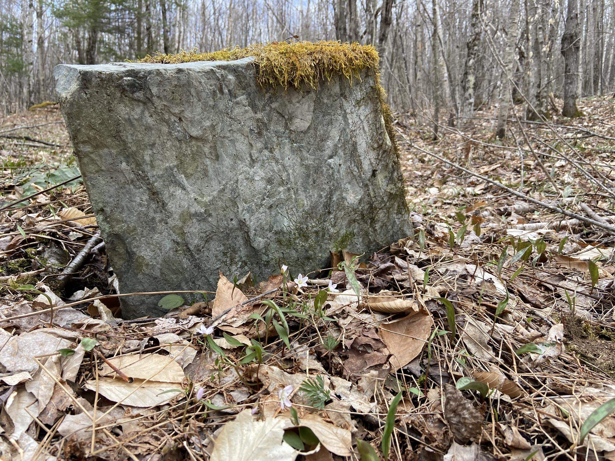 0 Leclair Road Concord, VT 05824 - Photo 28 of 30