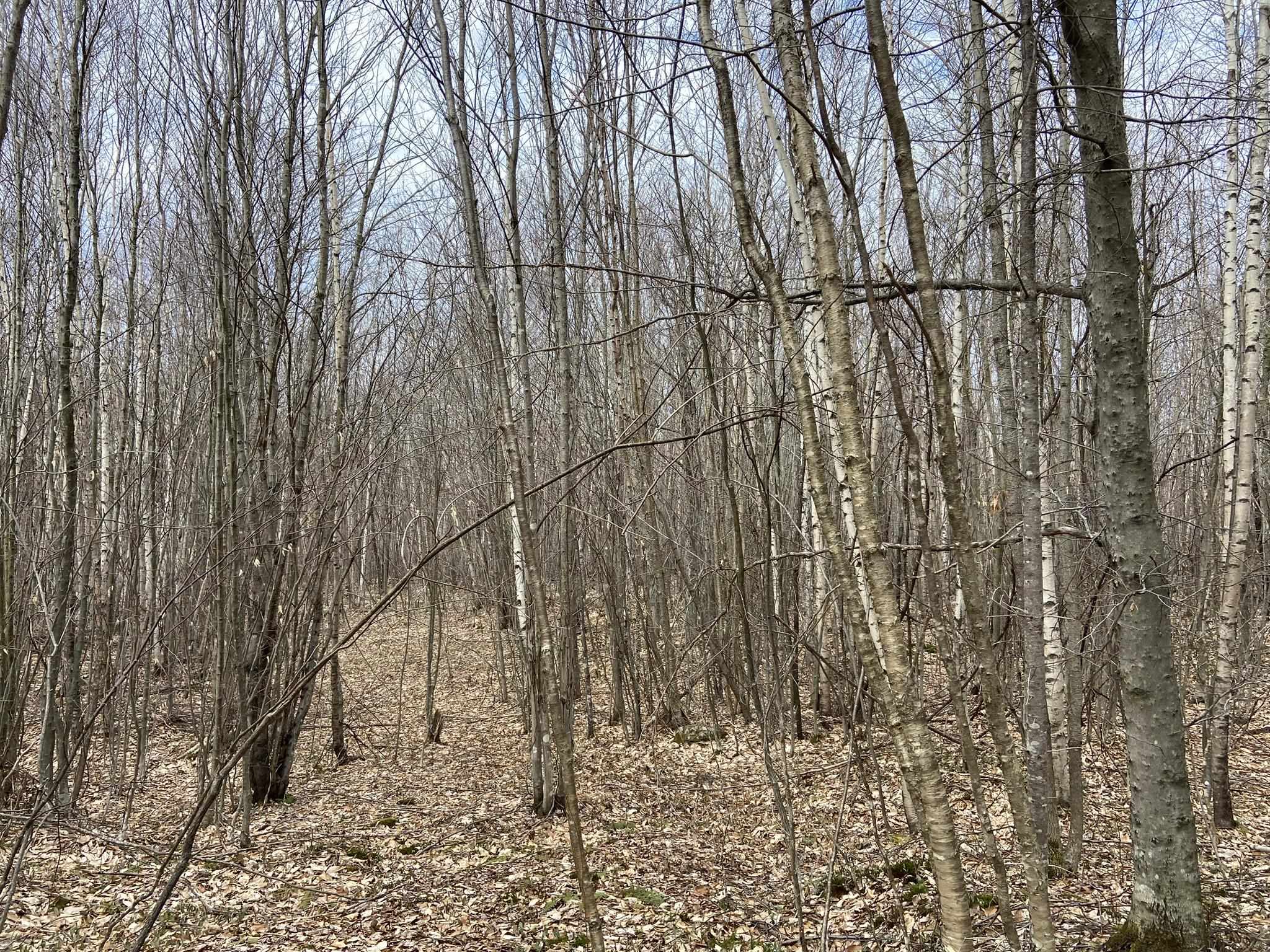 0 Leclair Road Concord, VT 05824 - Photo 6 of 30