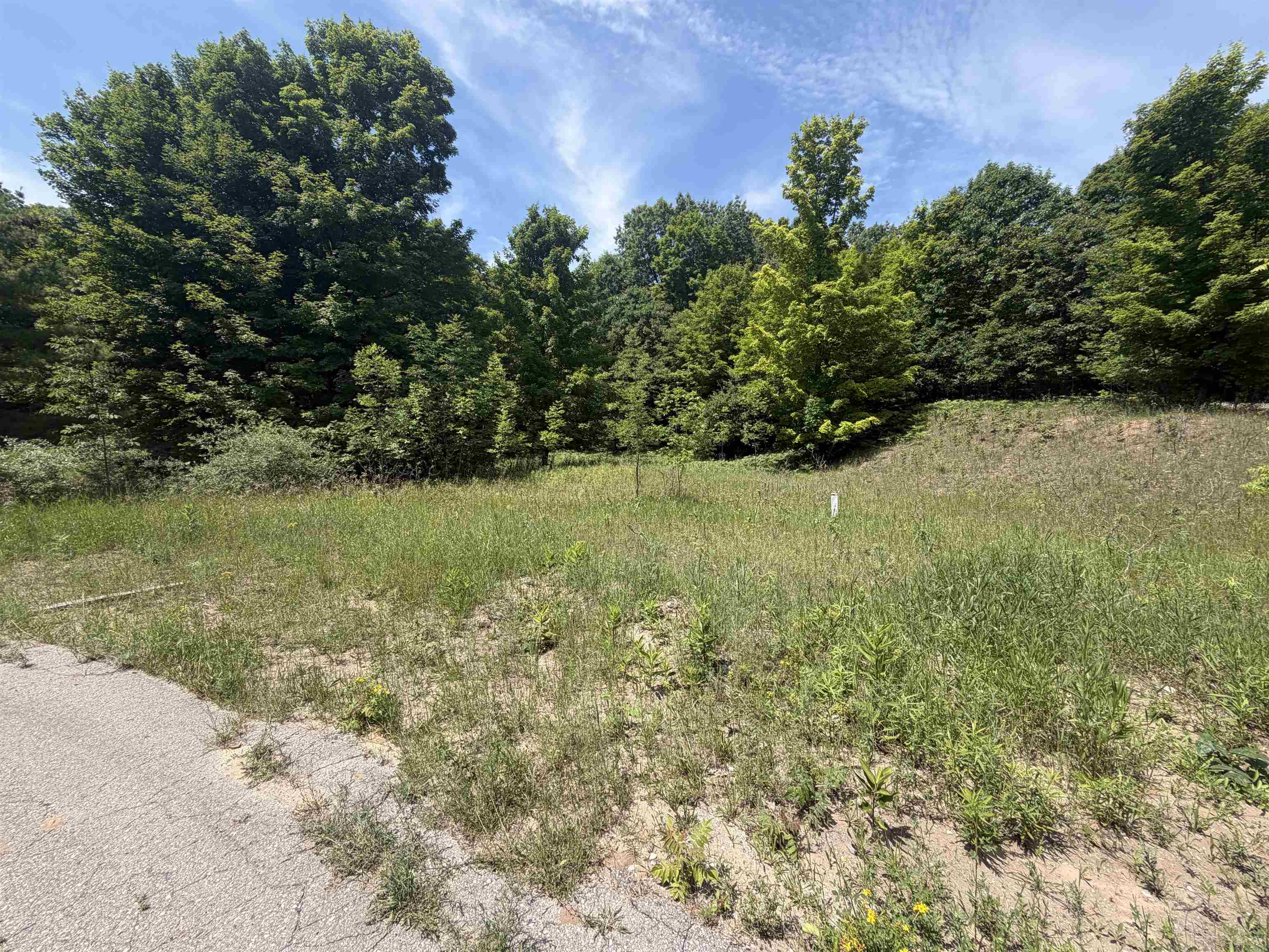0 South Lou-Len Road Traverse City, MI 49684 - Photo 9 of 12 1947762-0ec364f7-557c-456c-85f4-fe04085a0422.JPG