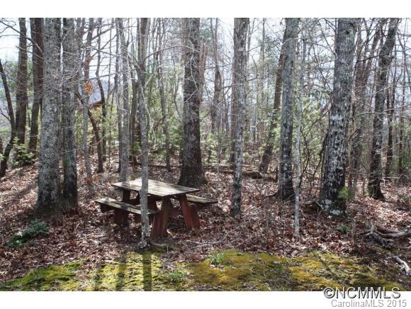 376 Piney Gate Road Saluda, NC 28773 - Photo 14 of 16 Gallery Image 14