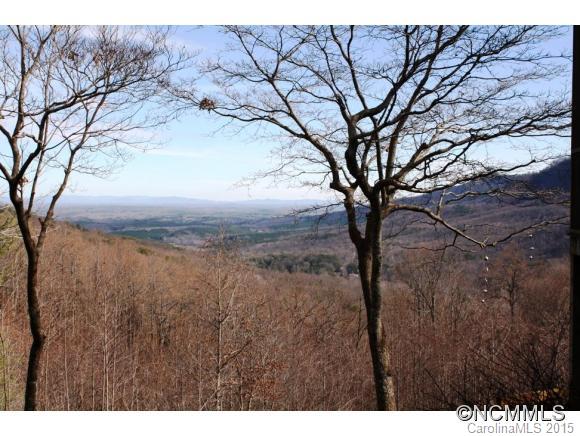 376 Piney Gate Road Saluda, NC 28773 - Photo 16 of 16 Gallery Image 16