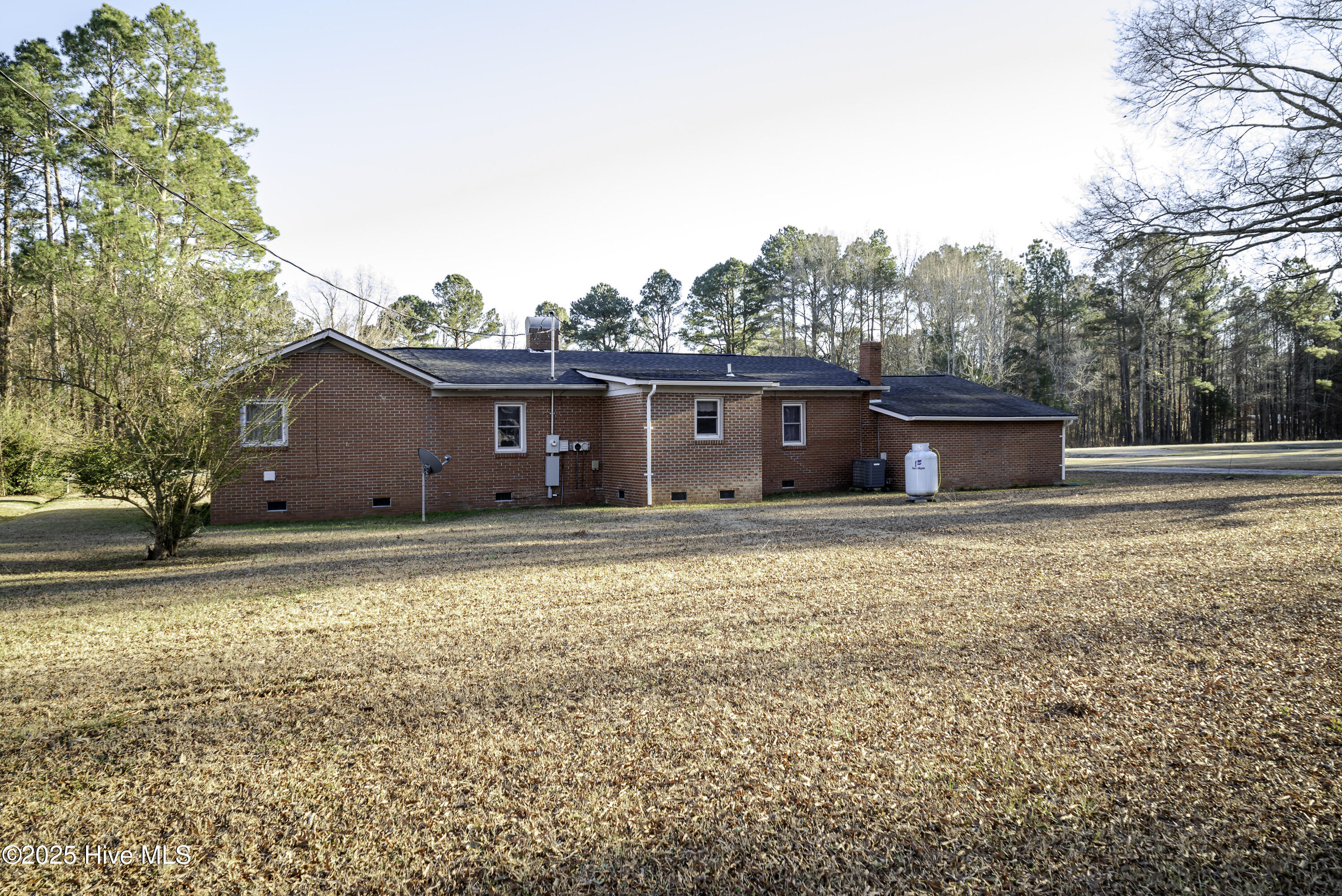 163 Mackey's Road Plymouth, NC 27962 - Photo 17 of 18 Backyard