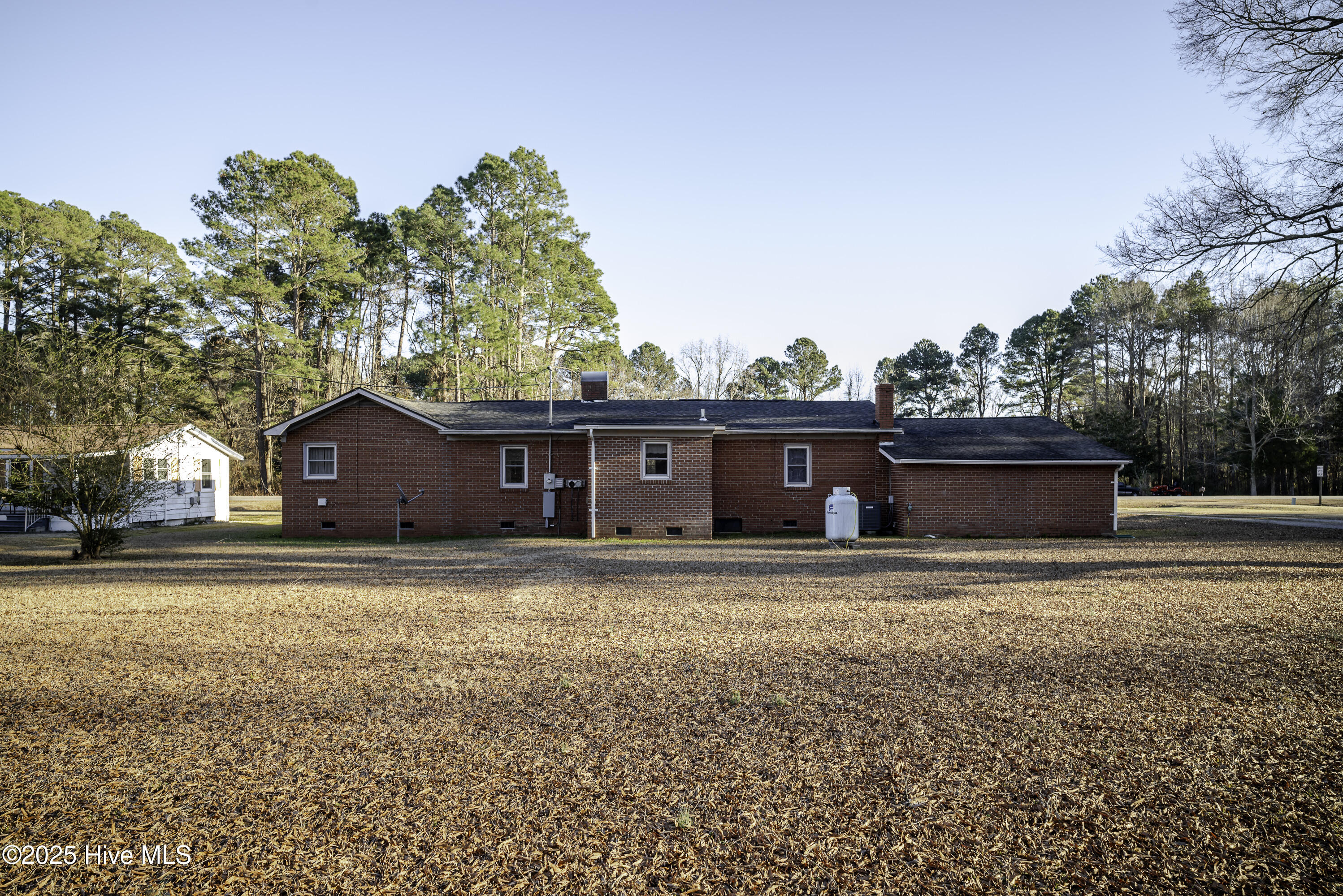 163 Mackey's Road Plymouth, NC 27962 - Photo 18 of 18 Backyard