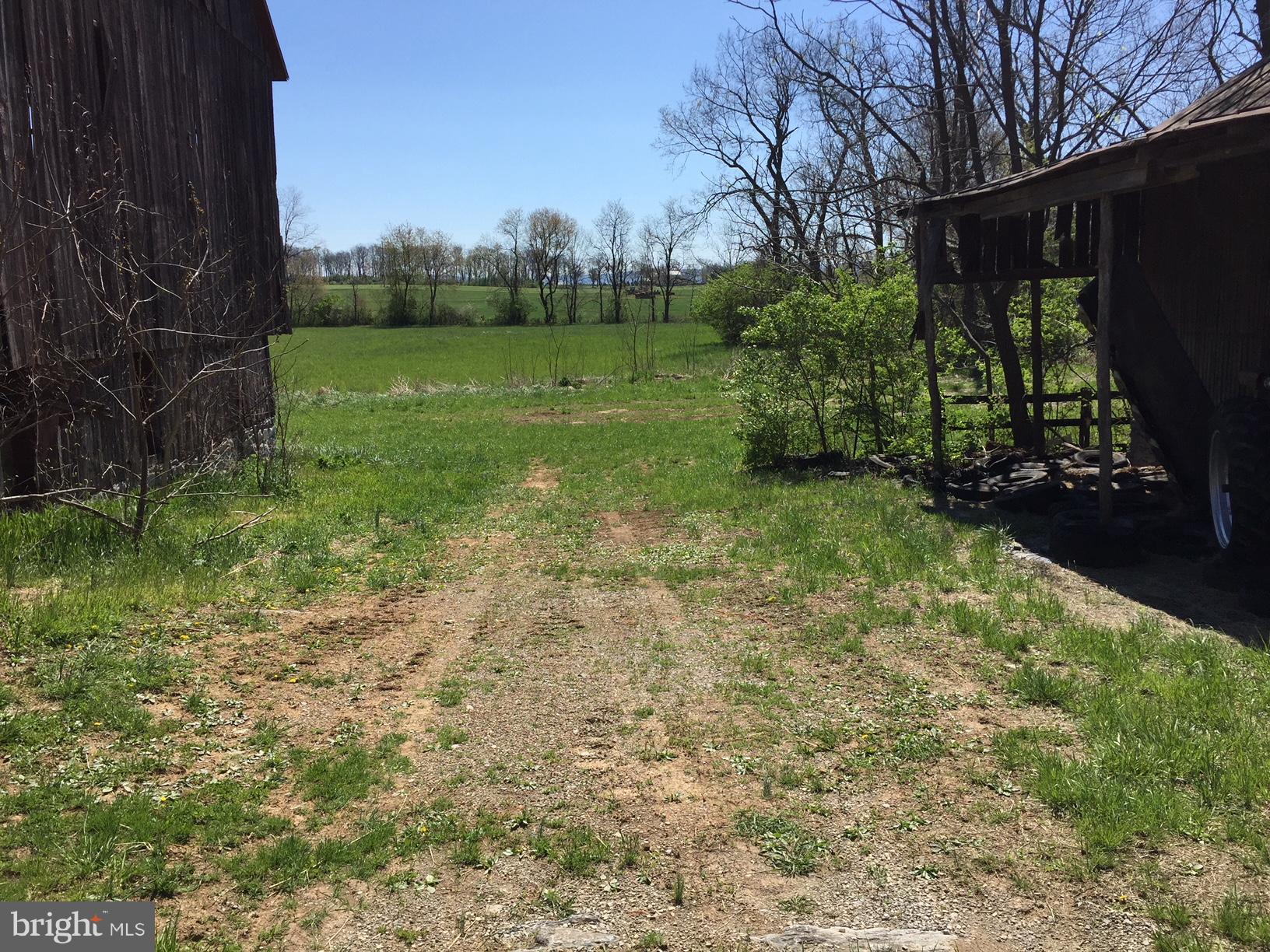 786 Kimble Road Berryville, VA 22611 - Photo 7 of 7 Exterior (General)