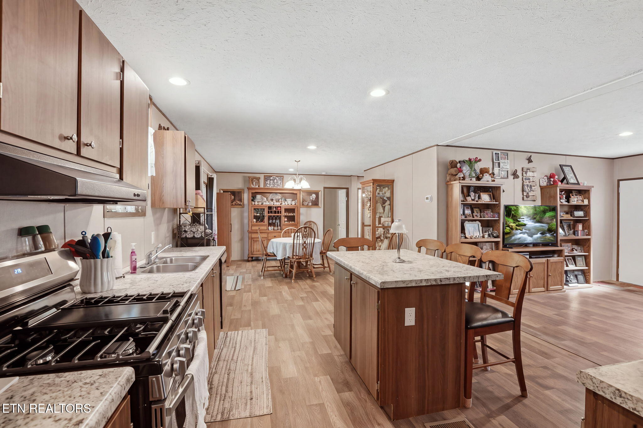 710 Lower Quarry Road Newport, TN 37821 - Photo 10 of 23 12-web-or-mls-DZ3A4013