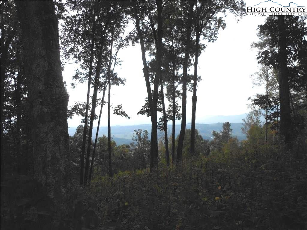Lot 12 Olde Stone Ridge Lansing, NC 28643 - Photo 11 of 14 Gallery Image 11