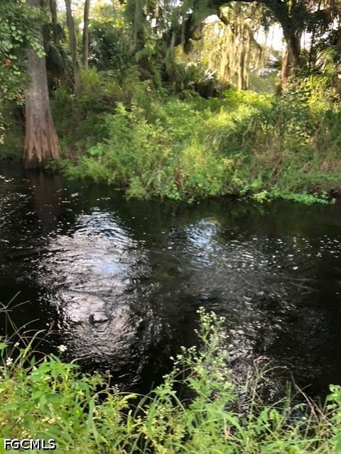 501 Norris Road LaBelle, FL 33935 - Photo 17 of 18