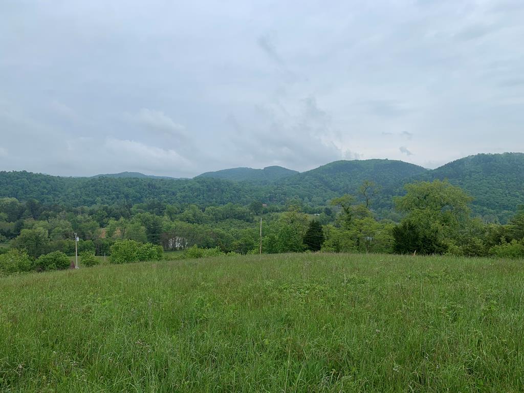 Tbd Boyd Road Draper, VA 24324 - Photo 6 of 38 Gallery Image 6