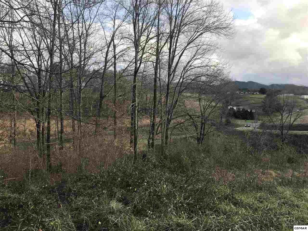 0 Tradition Lane Sevierville, TN 37862 - Photo 2 of 2
