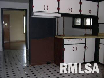 3641 Selmaville Road Salem, IL 62881 - Photo 4 of 4