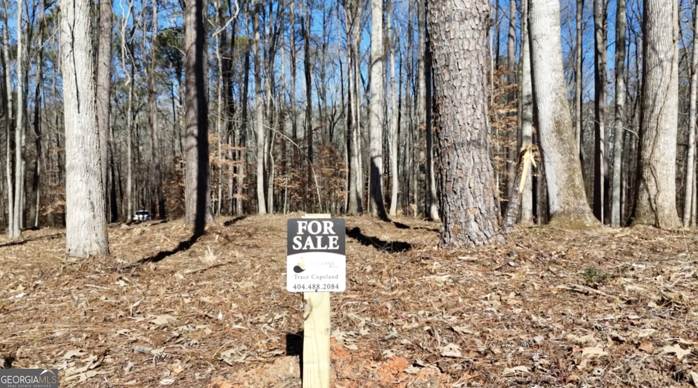 6137 Little Ridge Road, Unit LOT #3 Acworth, GA 30102 - Photo 19 of 39 a outdoor space with lots of tall trees