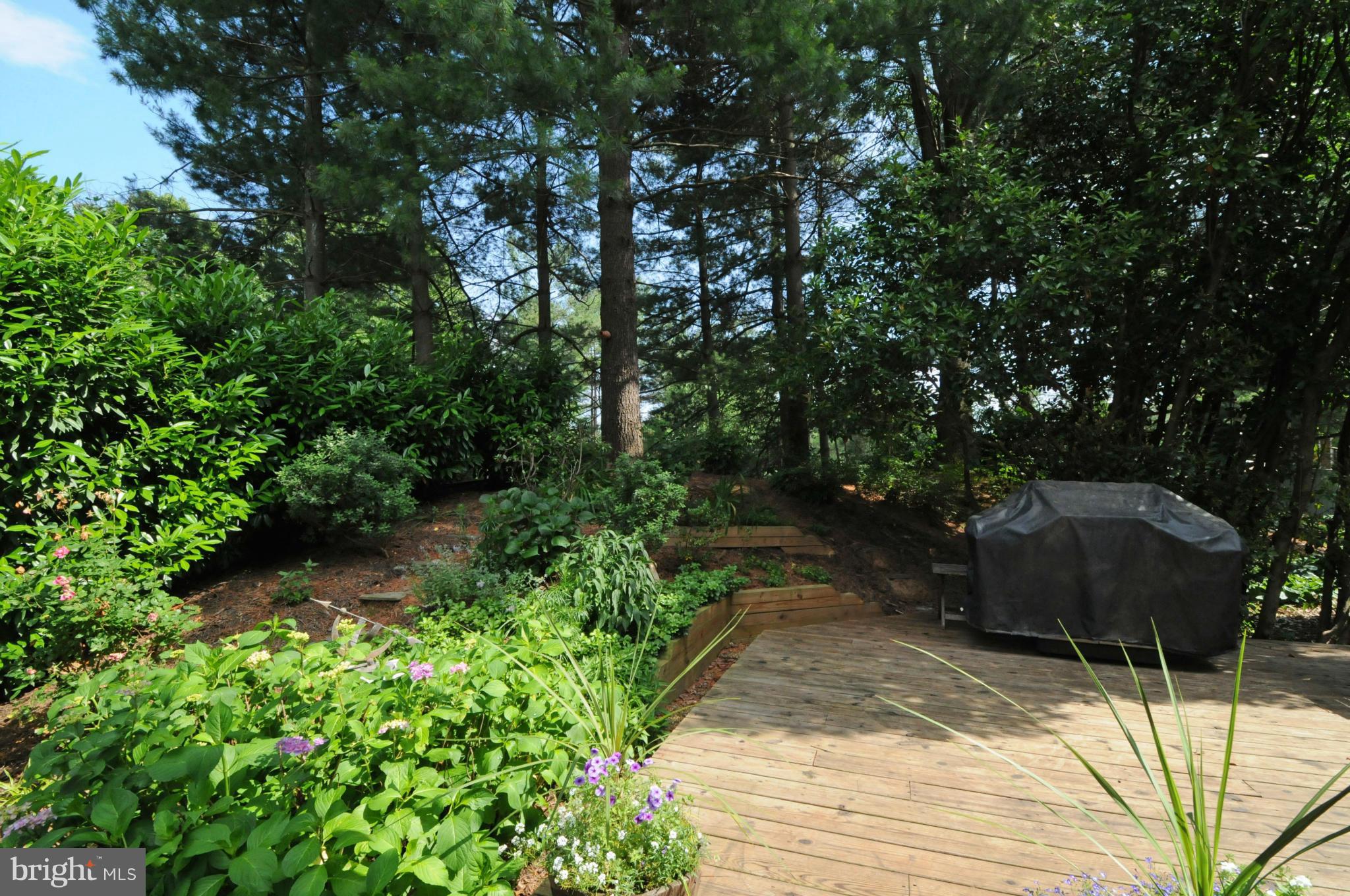 2101 Salt Kettle Way Reston, VA 20191 - Photo 9 of 30 TASTEFUL LANDSCAPING