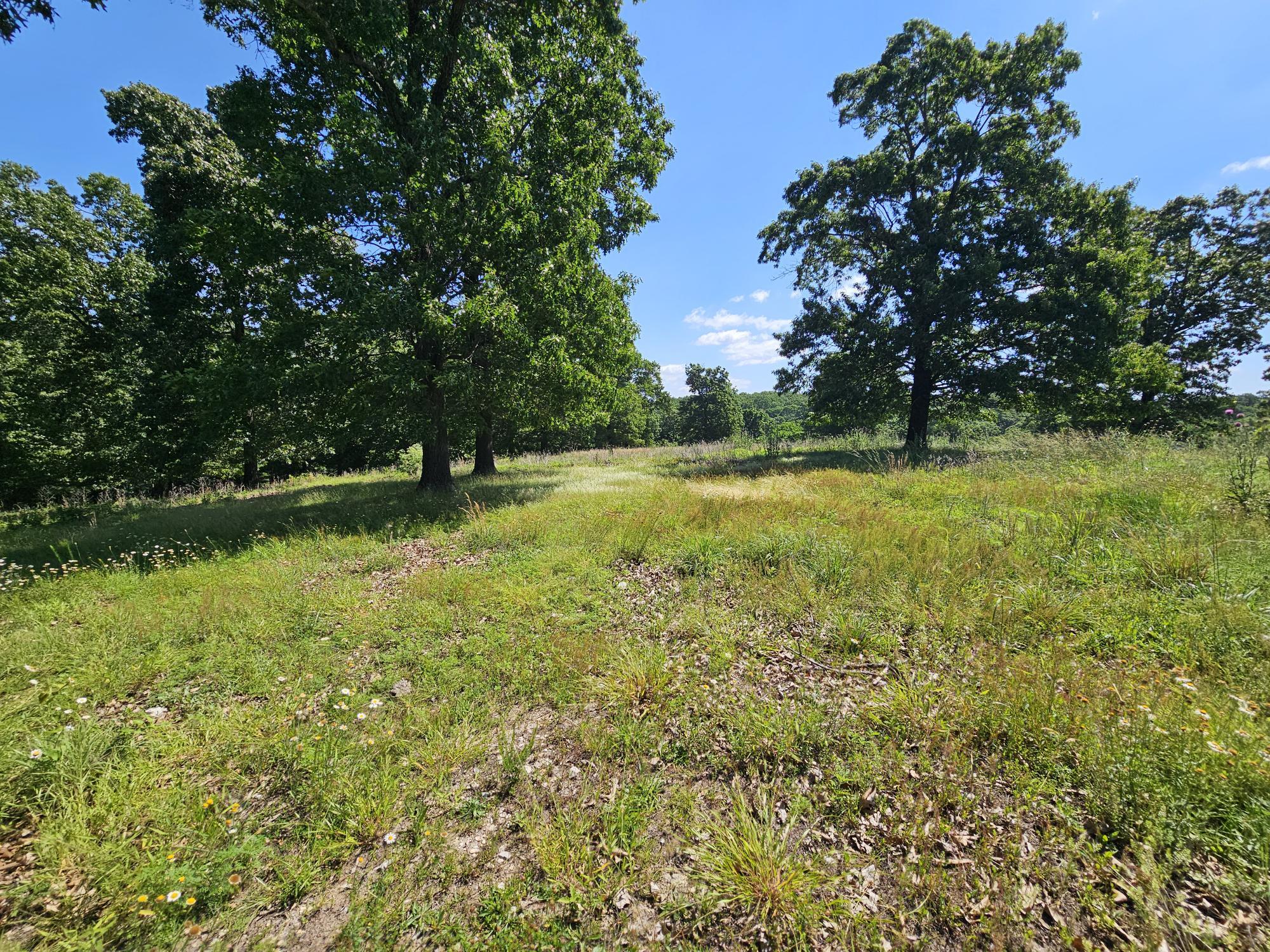 5383 Cowan Ridge Road Powell, MO 65730 - Photo 7 of 32 cowin ridge pic land 1-4