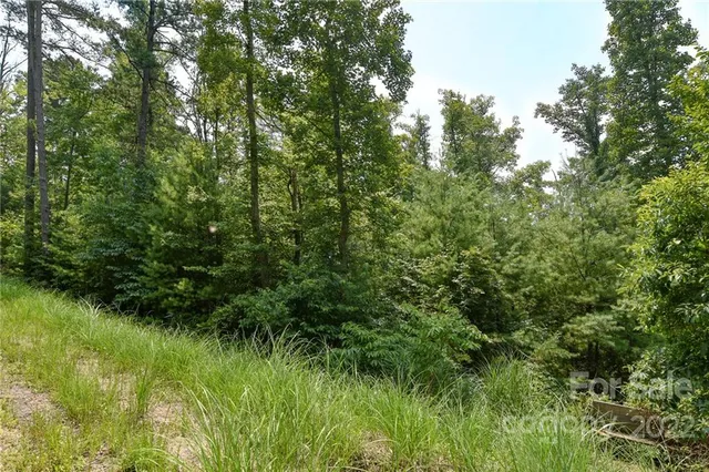 $25,000 | Lot 2 The Vines Boulevard, Unit LOT 2, Marshall, NC 28753