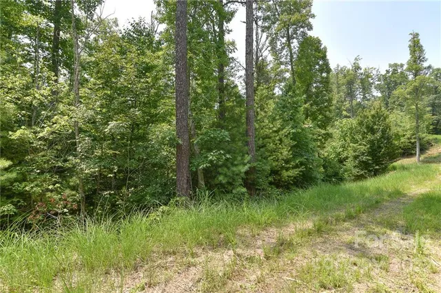 $25,000 | Lot 2 The Vines Boulevard, Unit LOT 2, Marshall, NC 28753