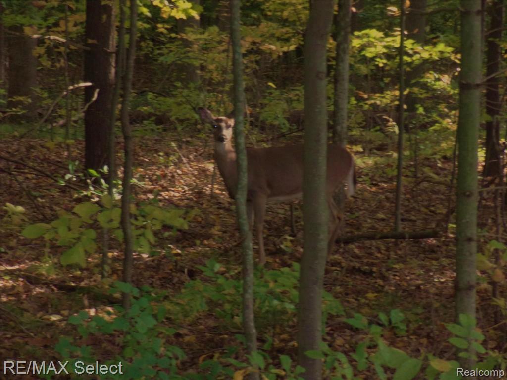 4045 East Carpenter Road Flint, MI 48506 - Photo 50 of 50