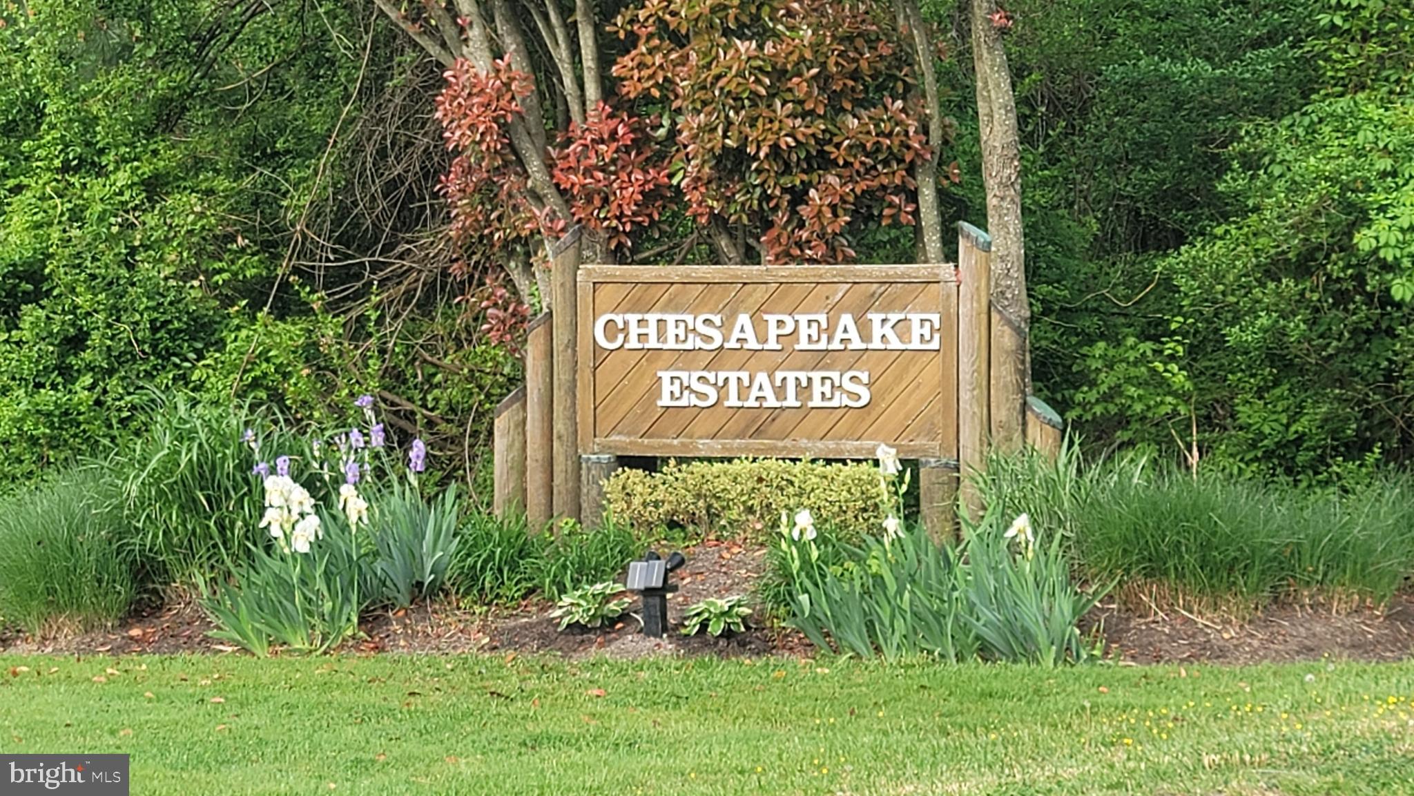 107 Chestnut Road Stevensville, MD 21666 - Photo 9 of 32 Great community of Chesapeake Estates.