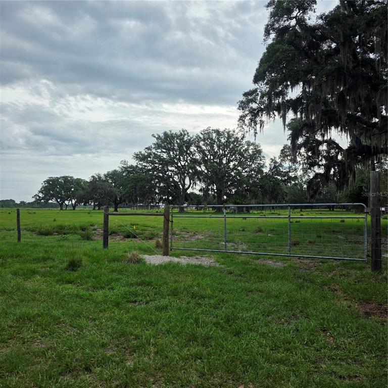 Vernon Dairy Spring Hill Spring Hill, FL 34610 - Photo 6 of 6 a view of a park and trees
