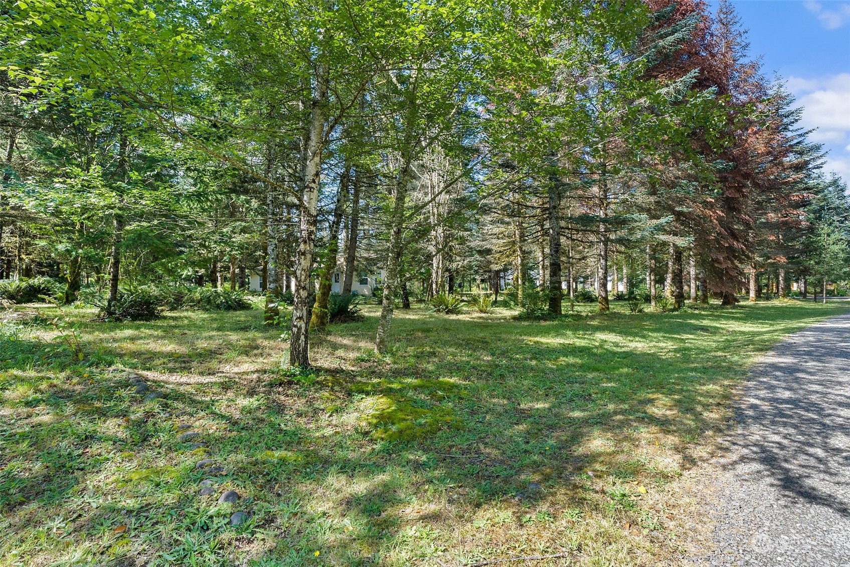 537-29 Larson Road, Unit 5 Silver Creek, WA 98585 - Photo 28 of 35 Gallery Image 28