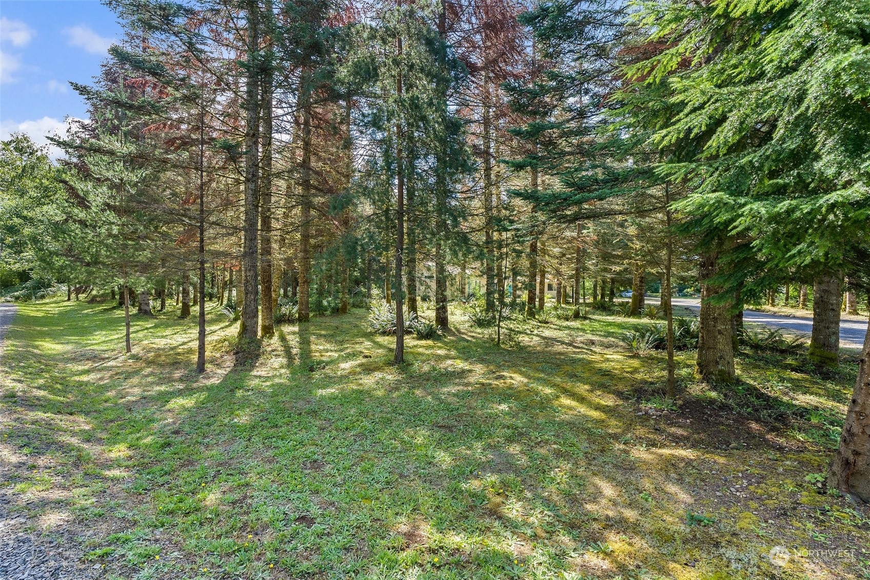 537-29 Larson Road, Unit 5 Silver Creek, WA 98585 - Photo 29 of 35 Gallery Image 29
