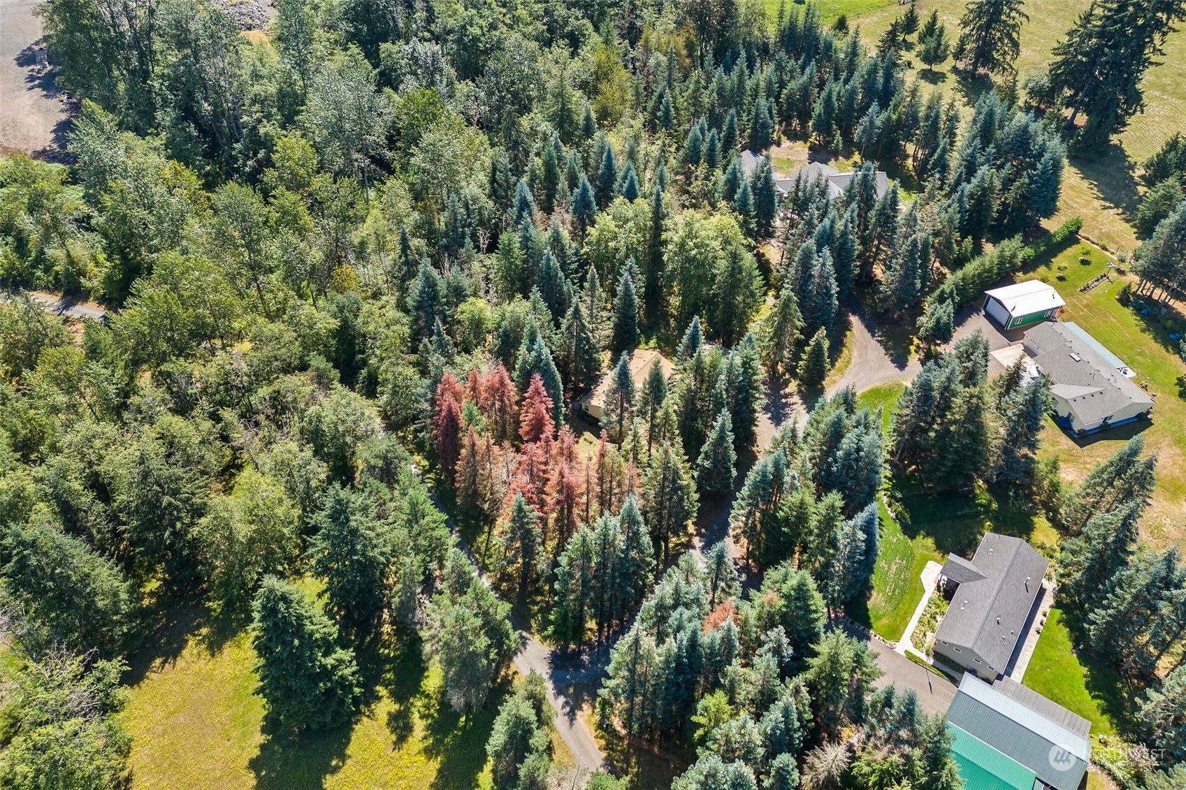 537-29 Larson Road, Unit 5 Silver Creek, WA 98585 - Photo 31 of 35 Gallery Image 31