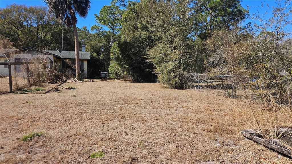 43734 West Lane Paisley, FL 32767 - Photo 18 of 38 a view of a yard covered in snow