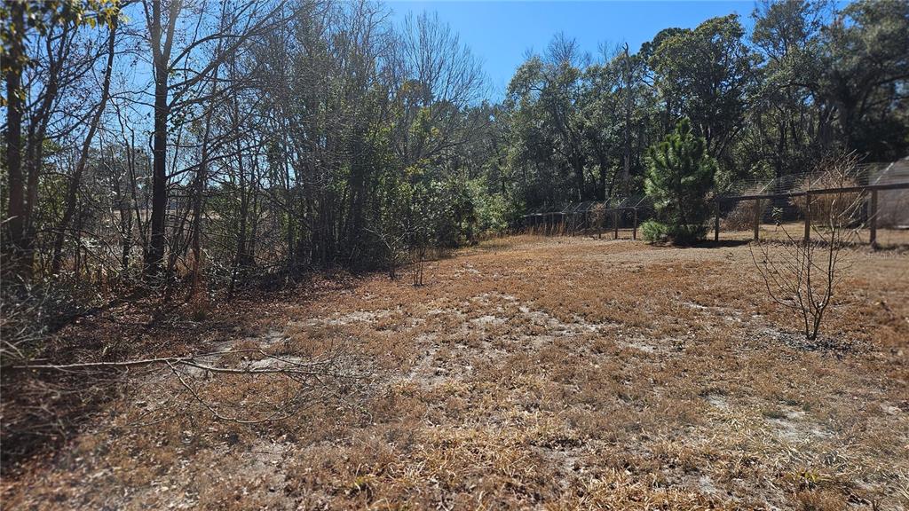 43734 West Lane Paisley, FL 32767 - Photo 20 of 38 a backyard of a house with lots of green space