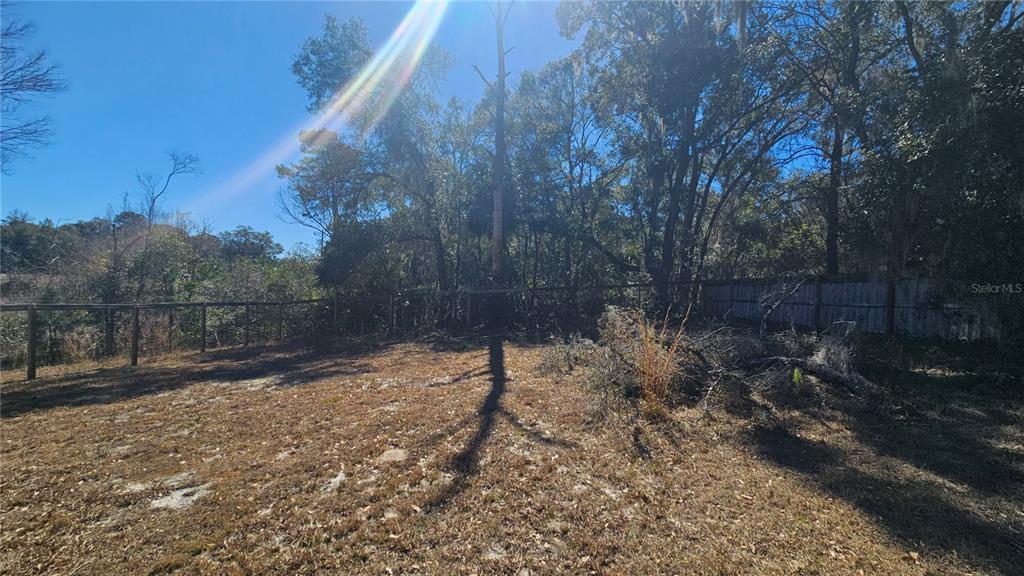 43734 West Lane Paisley, FL 32767 - Photo 31 of 38 a backyard of a house with lots of green space
