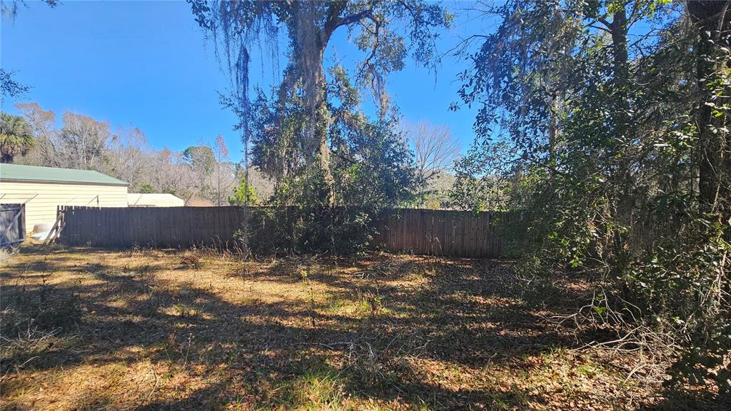 43734 West Lane Paisley, FL 32767 - Photo 32 of 38 a view of a yard