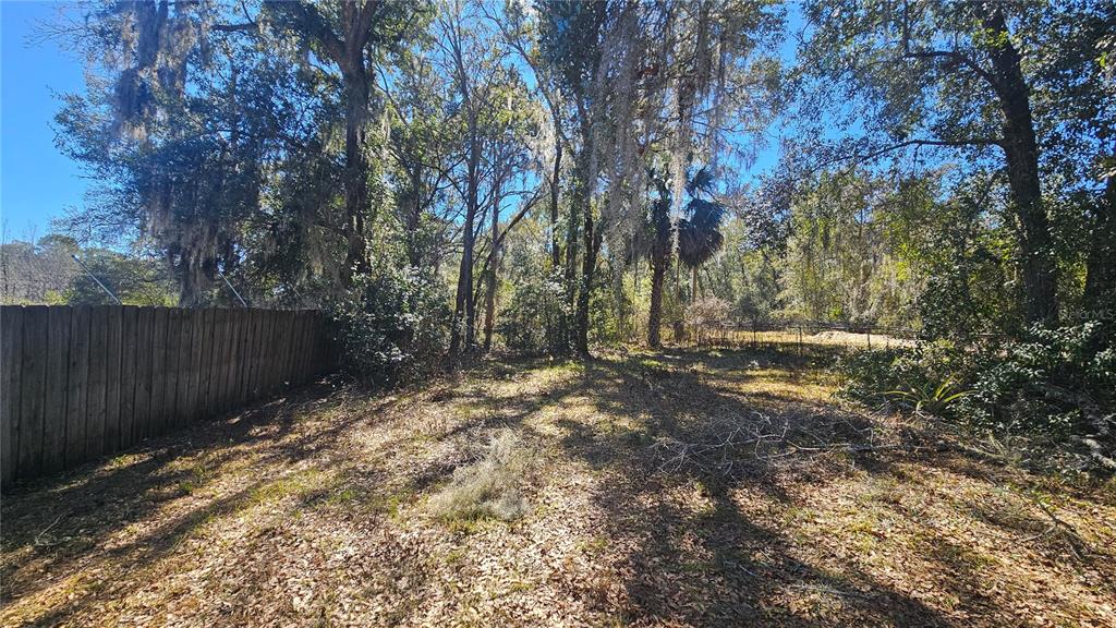 43734 West Lane Paisley, FL 32767 - Photo 34 of 38 a view of backyard with tree