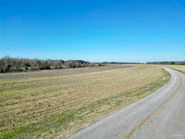 $30,000 | 1 Cowpen Creek Road, Atmore, AL 36502