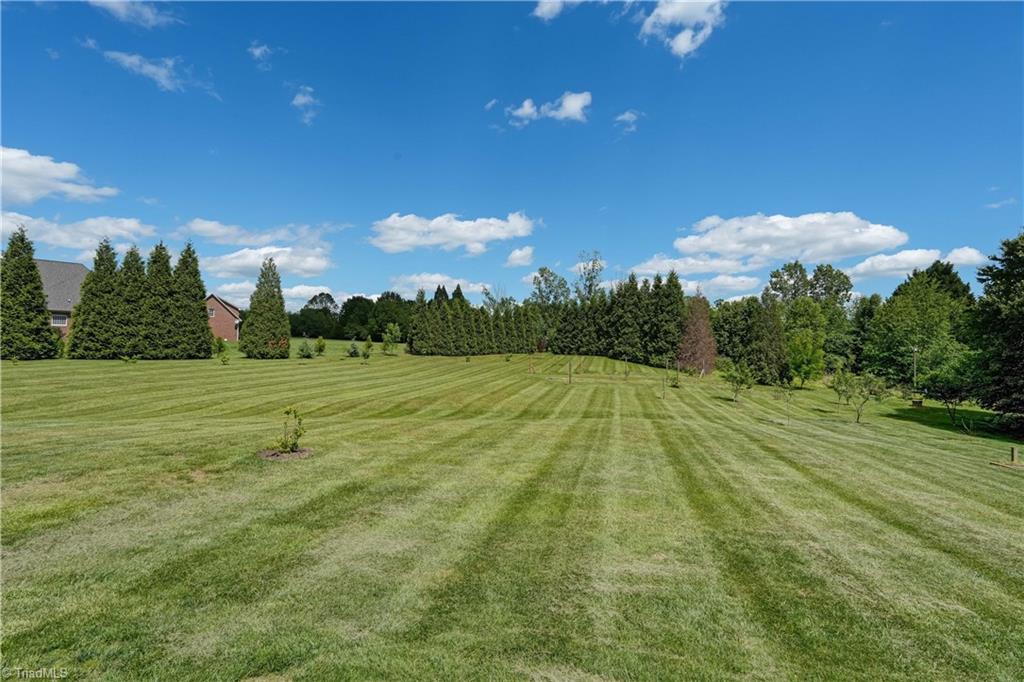 5208 Red Fox Drive Oak Ridge, NC 27310 - Photo 38 of 47