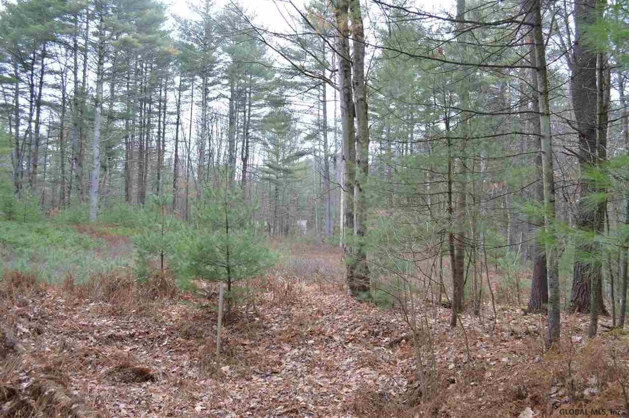 155 Edie Road Wilton, NY 12866 - Photo 14 of 15 Photo 14