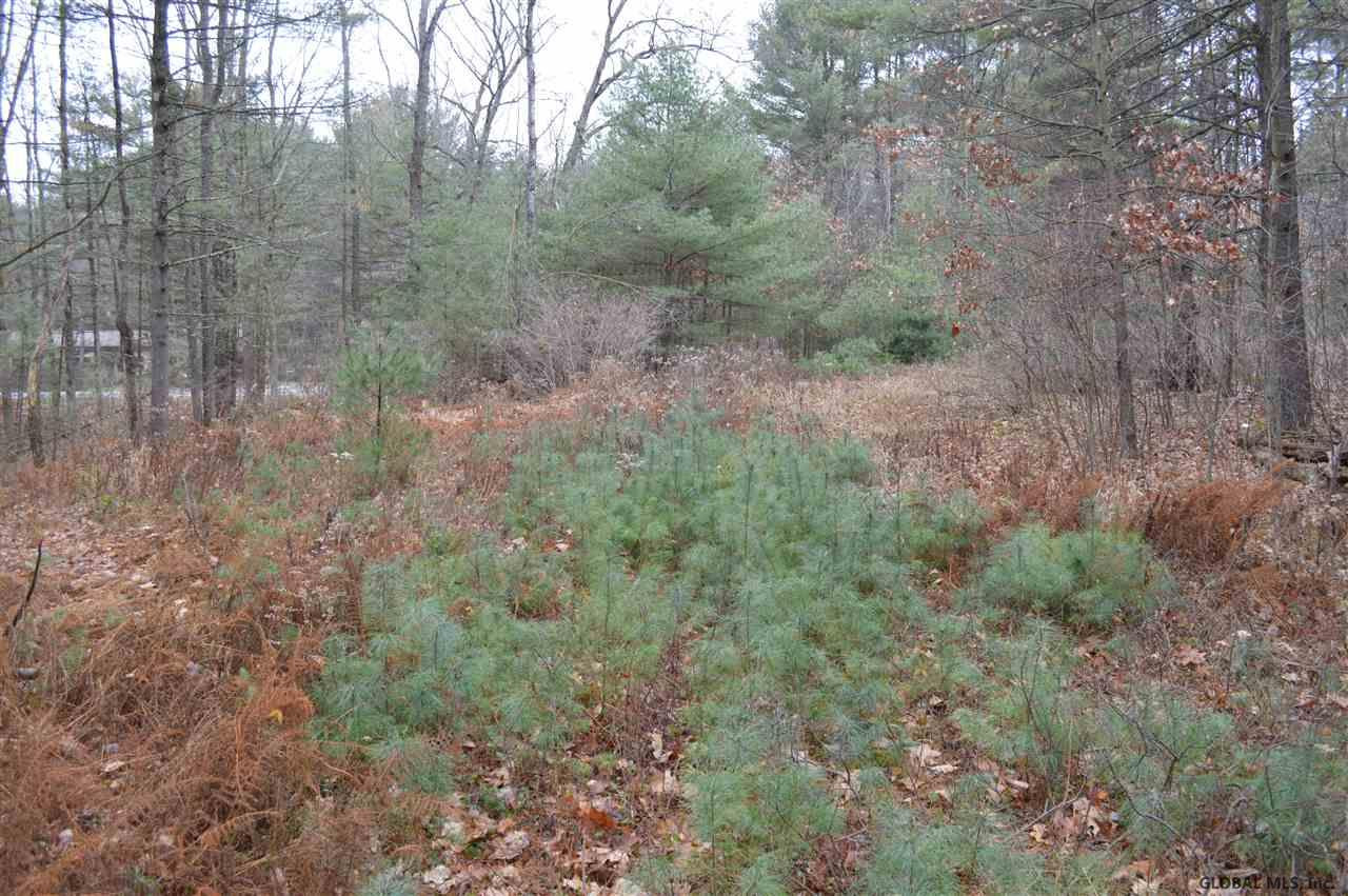 155 Edie Road Wilton, NY 12866 - Photo 15 of 15 Photo 15