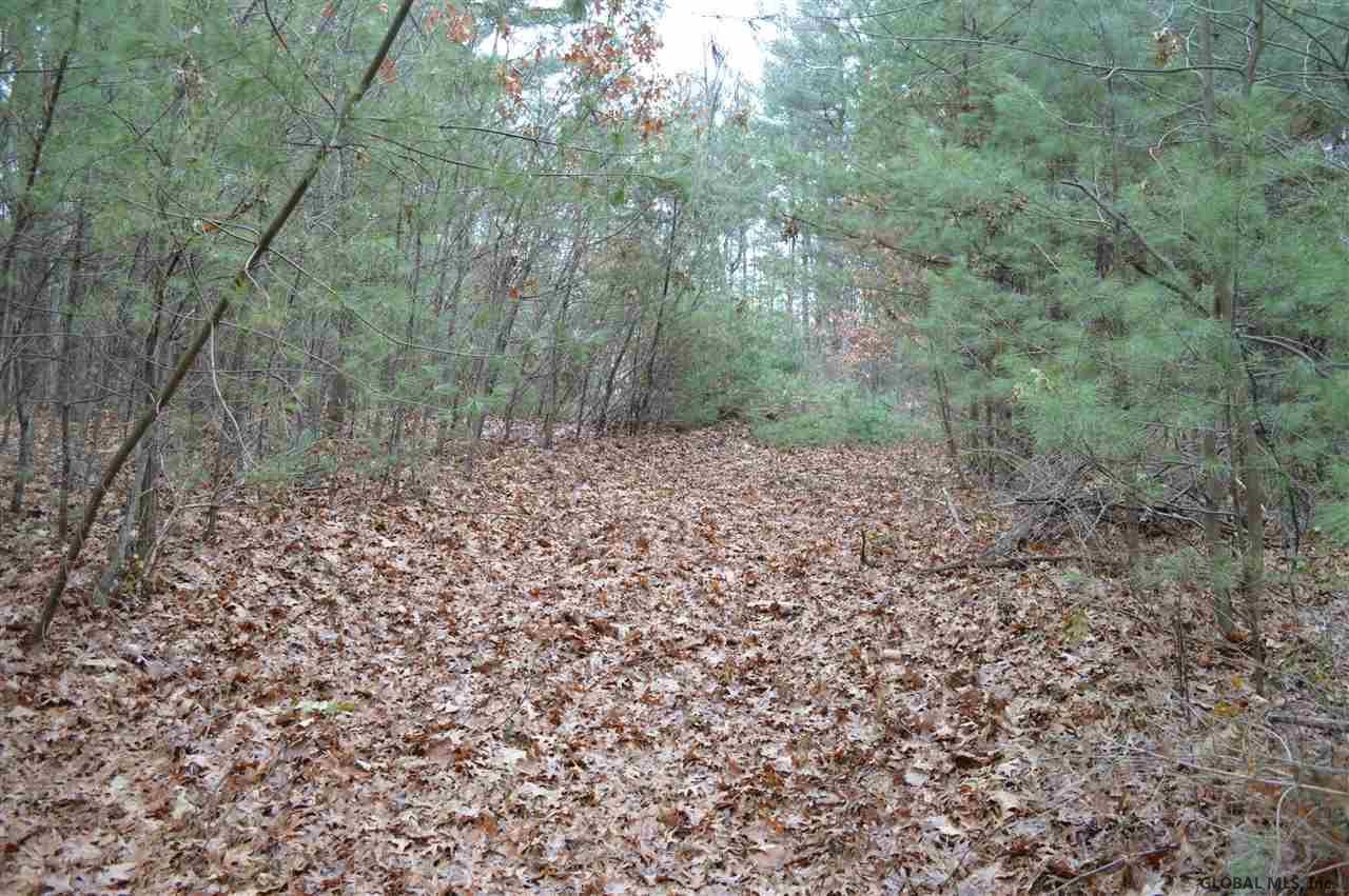 155 Edie Road Wilton, NY 12866 - Photo 4 of 15 Photo 4