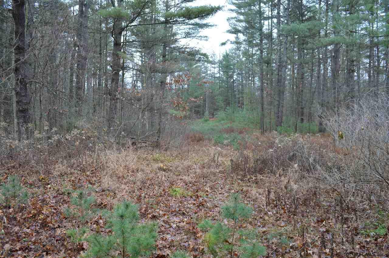 155 Edie Road Wilton, NY 12866 - Photo 6 of 15 Photo 6
