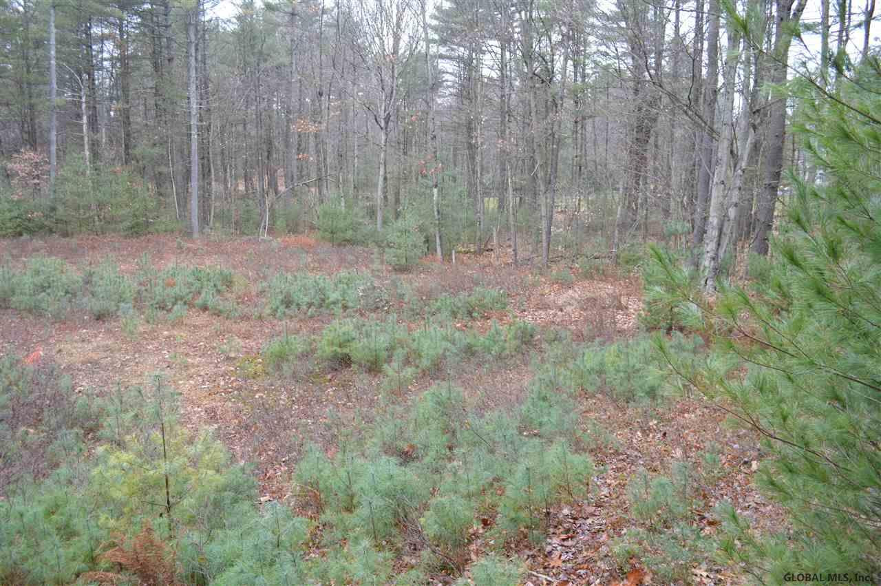 155 Edie Road Wilton, NY 12866 - Photo 7 of 15 Photo 7