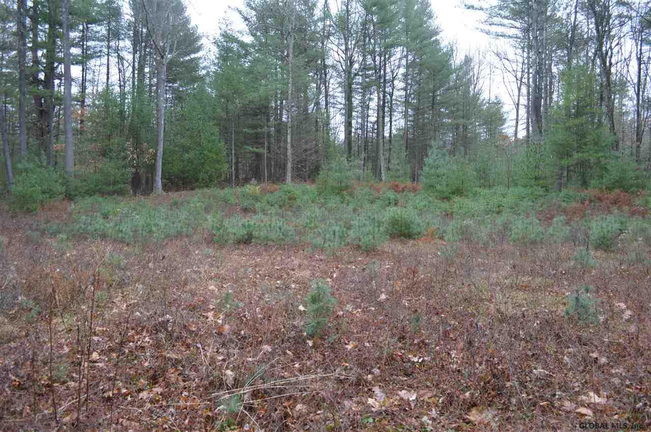 155 Edie Road Wilton, NY 12866 - Photo 10 of 15 Photo 10