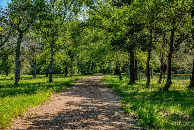 a view of a lake with a house in background