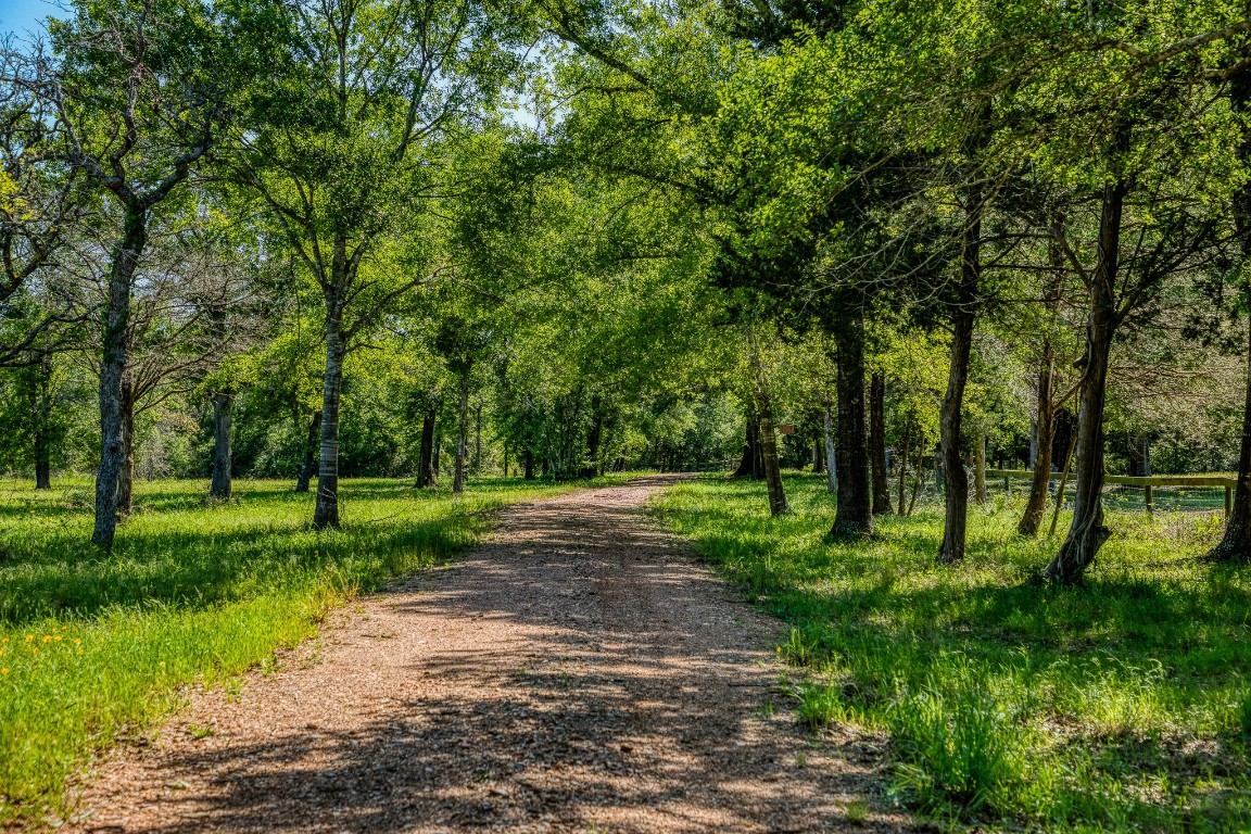 6925 South Sycamore Crossing Road Bellville, TX 77418 - Photo 32 of 40 a big yard with lots of green space and trees