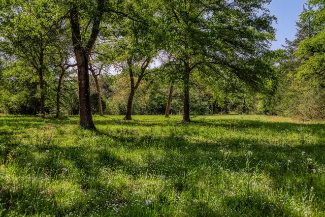a view of backyard with green space